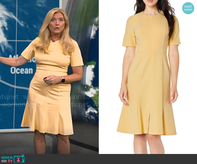 Donna Morgan Split Sleeve Fit and Flare Dress in Daffodil worn by Kelly Cass on CBS Mornings