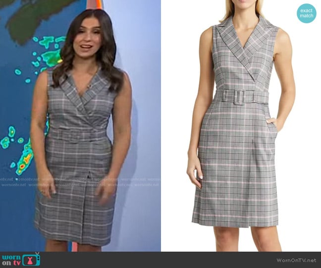 Eliza J Glen Plaid Belted Sleeveless Sheath Dress worn by Angie Lassman on Today