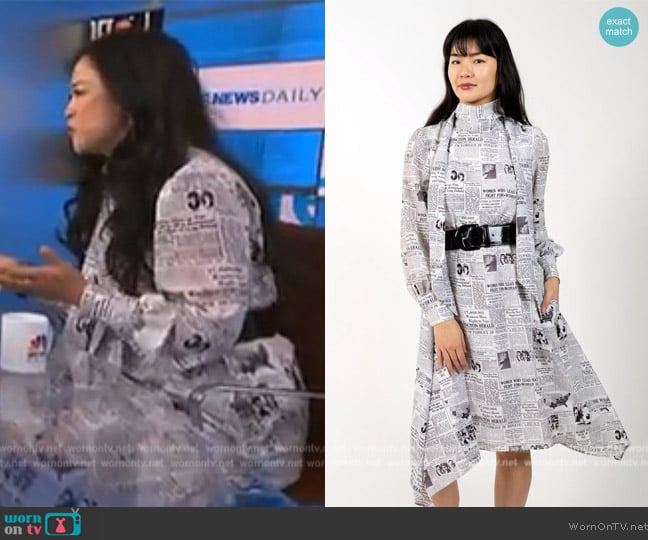 Gravitas New York Suffragist Newsprint Dress worn by Lisa Sun on NBC News Daily