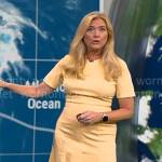 Kelly Cass’ yellow short sleeved dress on CBS Mornings