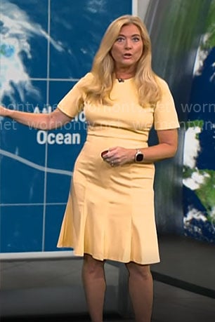 Kelly Cass' yellow short sleeved dress on CBS Mornings