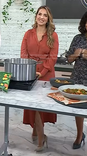 WornOnTV: Laura Vitale’s orange shirtdress on Today | Clothes and ...