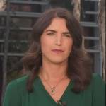 Liz Kreutz’s green pleated blouse on NBC News Daily