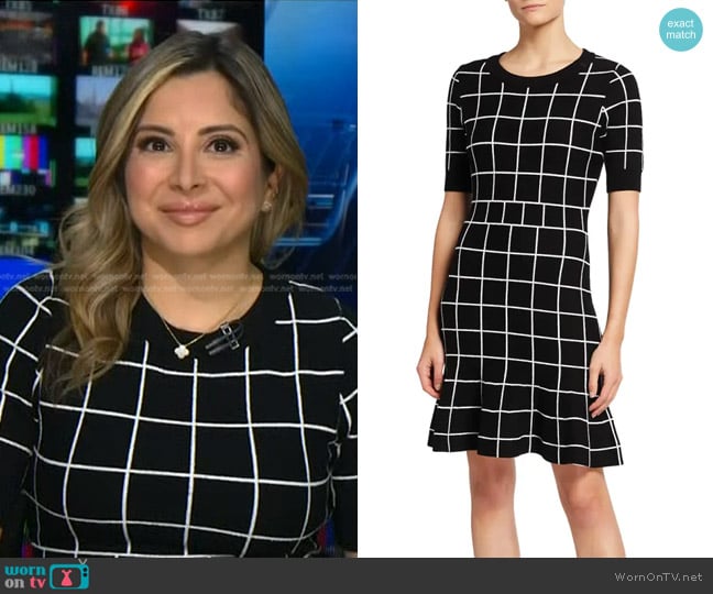 WornOnTV: Silvana Henao's black windowpane check dress on NBC News