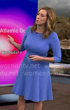 Stephanie Abrams's light blue flared dress on CBS Mornings