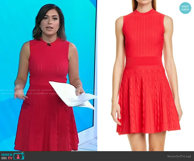 Ted Baker Kamylia Scallop Knit Skater Dress worn by Chloe Melas on Today