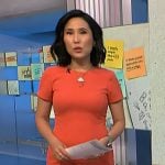 Vicky’s orange ruffle hem mini dress on NBC News Daily