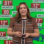 Violeta’s brown contrast paneled dress on NBC News Daily