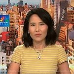 Vicky’s yellow striped dress on NBC News Daily