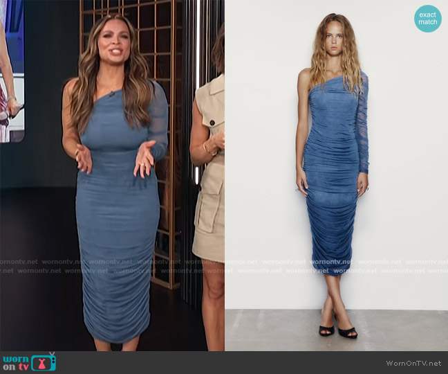 Zara Asymmetrical Gathered Fitted Organza Dress worn by Carolina Bermudez on E! News