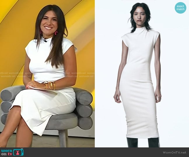 Zara Soft Stretch Dress worn by Joelle Garguilo on Today