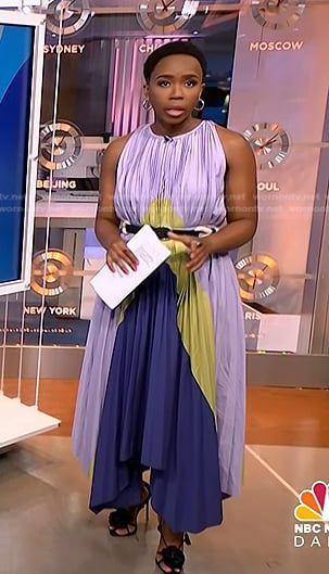 Zinhle's purple pleated dress on NBC News Daily