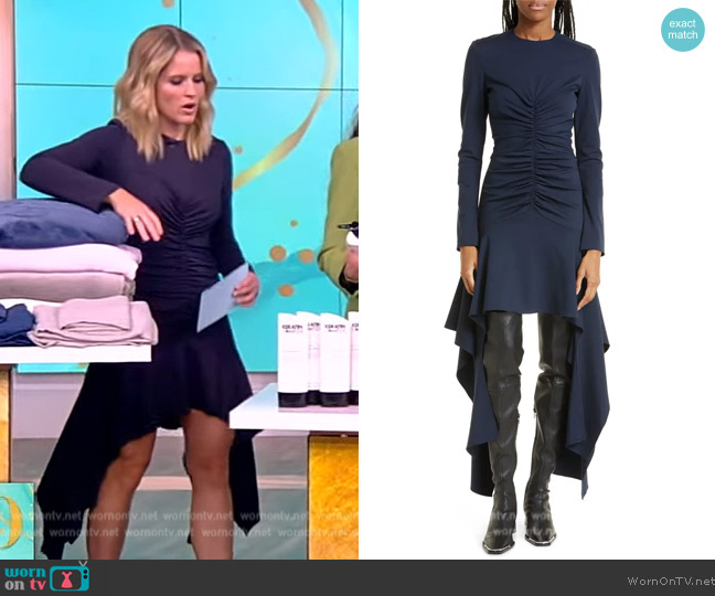 Akvnas Daani Long Sleeve Jersey Dress worn by Sara Haines on The View