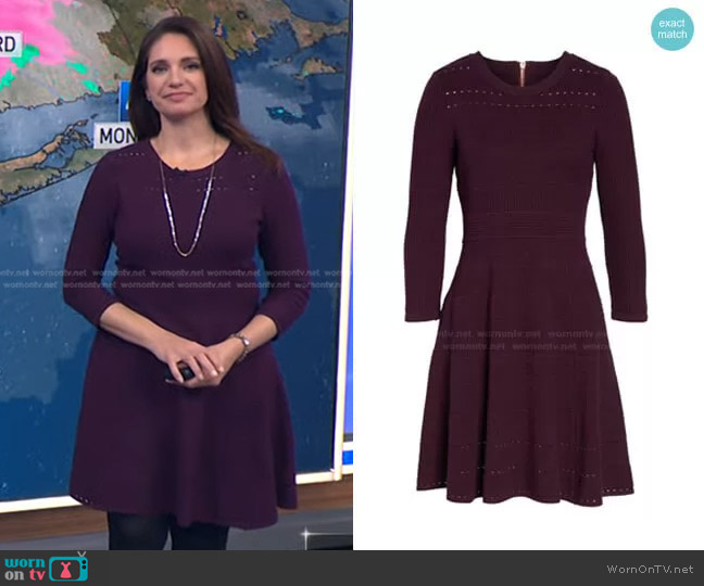 Eliza J Sweater Knit Fit & Flare Dress worn by Maria Larosa on Today