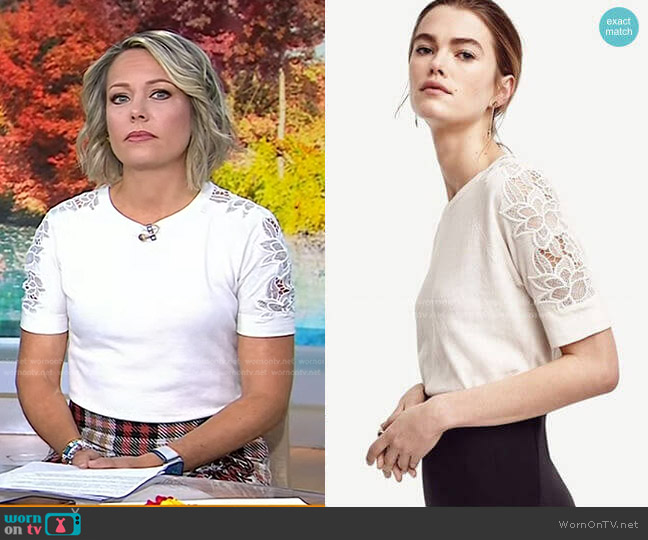 Ann Taylor Lace Sleeve Sweater Tee worn by Dylan Dreyer on Today