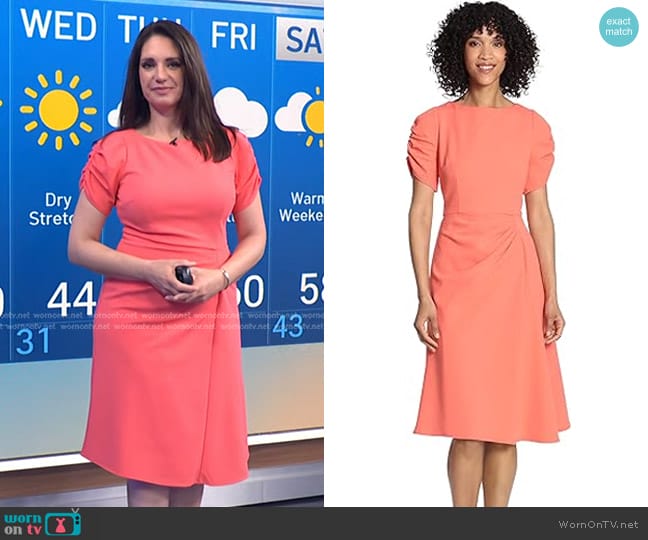 Maggy London Ruched Sleeve and Side Waist Detail Dress worn by Maria Larosa on Today