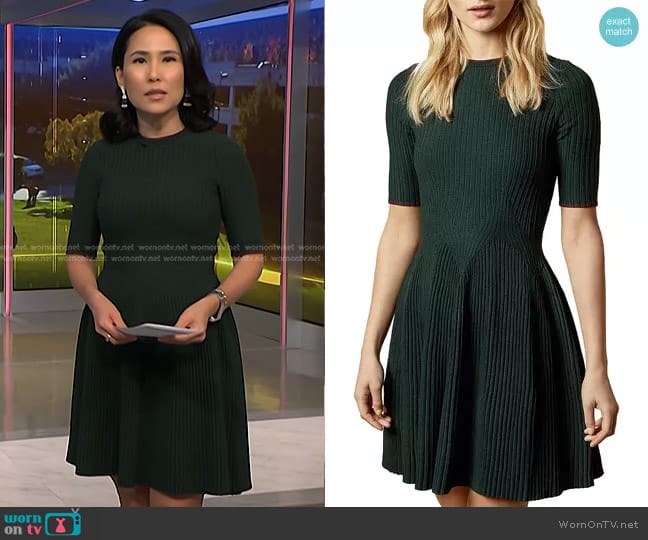 Ted Baker Renyina Knit Skater Dress worn by Vicky Nguyen on NBC News Daily