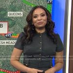 Adelle’s grey belted dress on Today