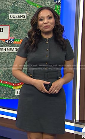 Adelle's grey belted dress on Today
