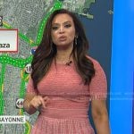 Adelle’s pink knit dress on Today