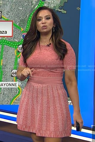 Adelle's pink knit dress on Today