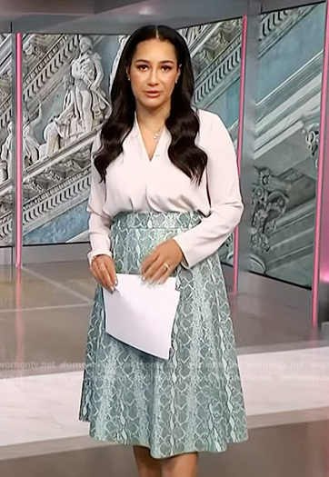 Morgan’s green snakeskin print skirt on NBC News Daily