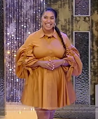 Elizabeth Acevedo's brown ruched sleeve dress on Tamron Hall Show