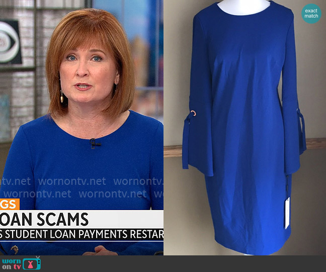 Calvin Kelin Bell Sleeve Sheath Dress with Embellishments worn by Anna Werner on CBS Mornings