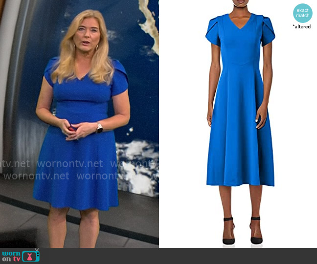 Calvin Klein Tulip Sleeve A-line Dress worn by Kelly Cass on CBS Mornings