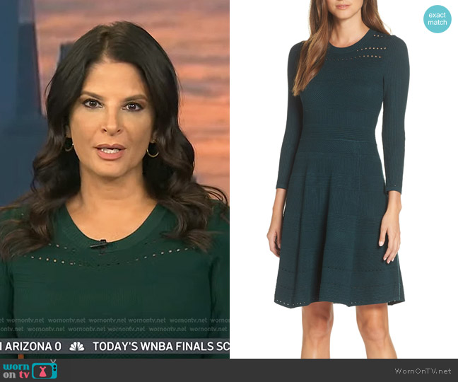 Eliza J Fit & Flare Sweater Dress worn by Darlene Rodriguez on Today