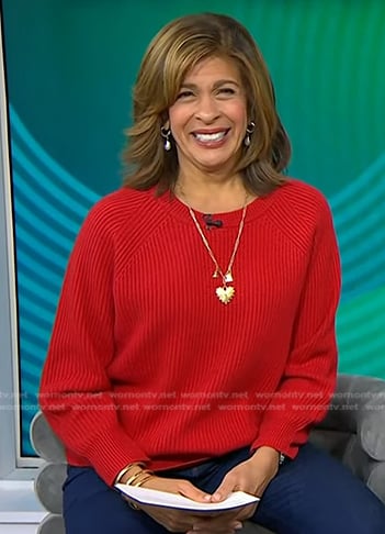 Hoda's red ribbed sweater on Today