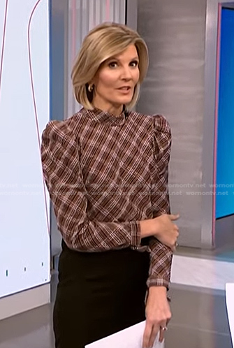 Kate's brown plaid blouse on NBC News Daily