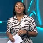 Kay’s zebra print shirtdress on NBC News Daily