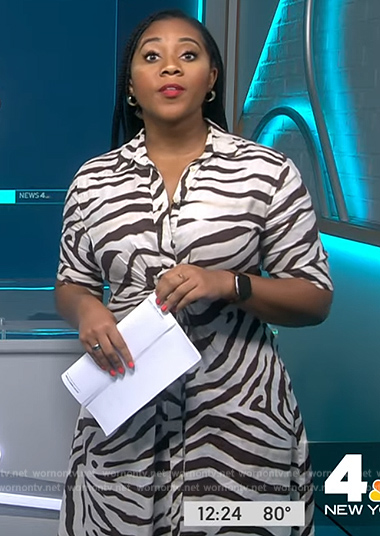 Kay's zebra print shirtdress on NBC News Daily