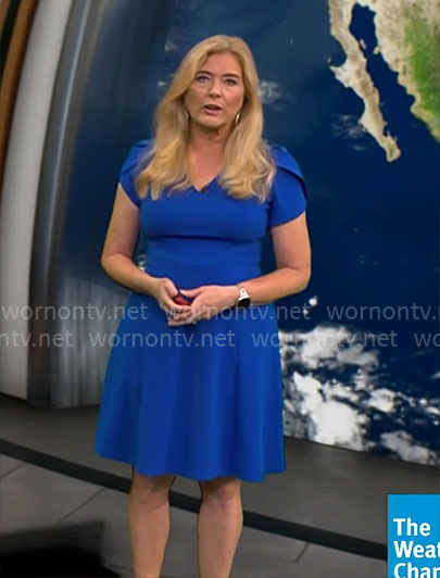Kelly Cass’ blue v-neck flared dress on CBS Mornings