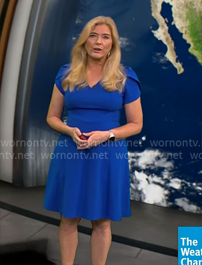 Kelly Cass' blue v-neck flared dress on CBS Mornings