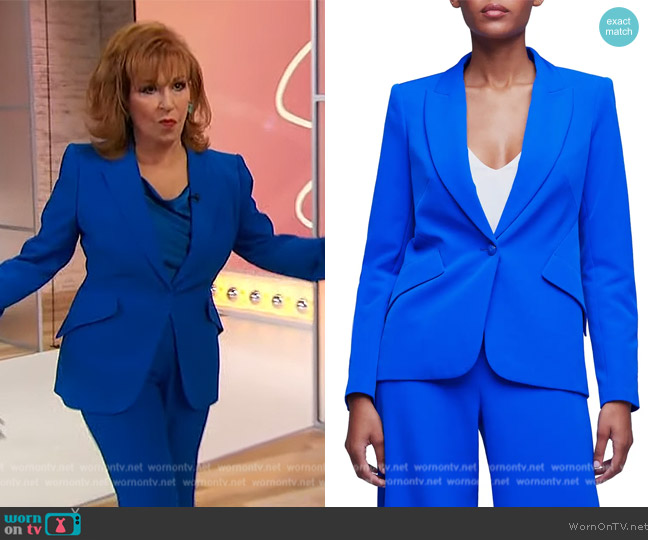 L'Agence Chamberlain Single-Breasted Blazer worn by Joy Behar on Sherri