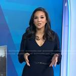 Laura’s navy v-neck belted dress on Today