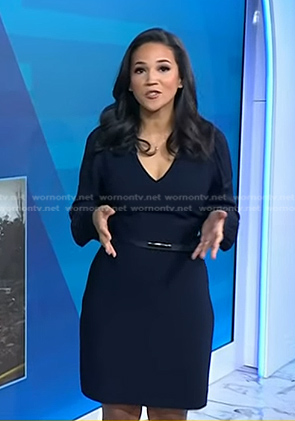 Laura’s navy v-neck belted dress on Today