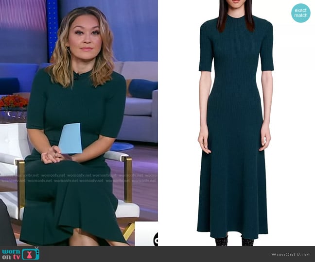 Maje Rubis Knit A-Line Dress worn by Eva Pilgrim on Good Morning America