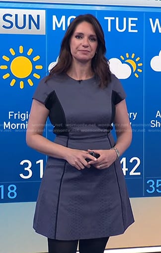 WornOnTV: Maria’s grey colorblock flare dress on Today | Maria Larosa ...