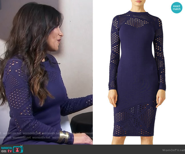 Milly Lasercut Sheath Dress worn by Joelle Garguilo on E! News