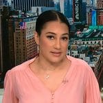 Morgan’s pink v-neck blouse on NBC News Daily