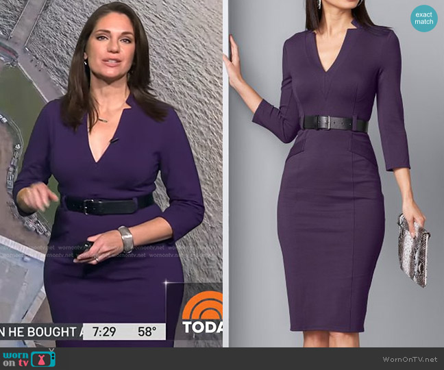 Venus V-Neck Sheath Dress in Purple worn by Maria Larosa on Today