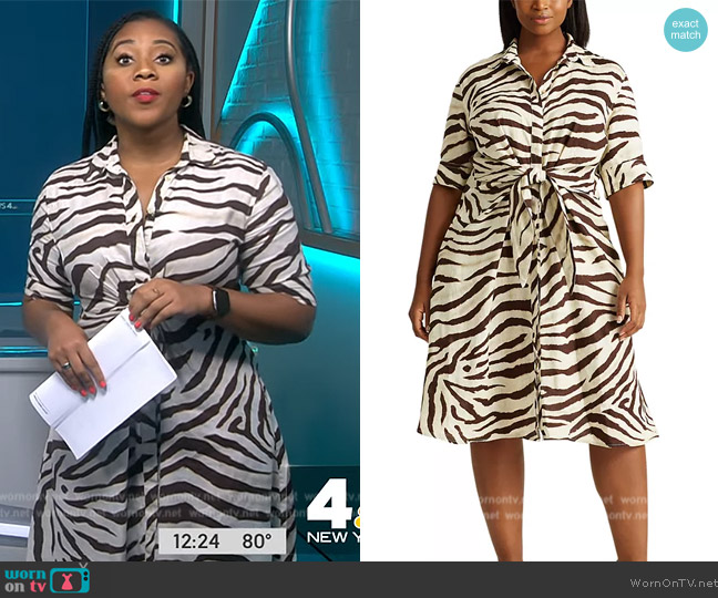 Ralph Lauren Plus-Size Print Linen Shirtdress worn by Kay Angrum on NBC News Daily