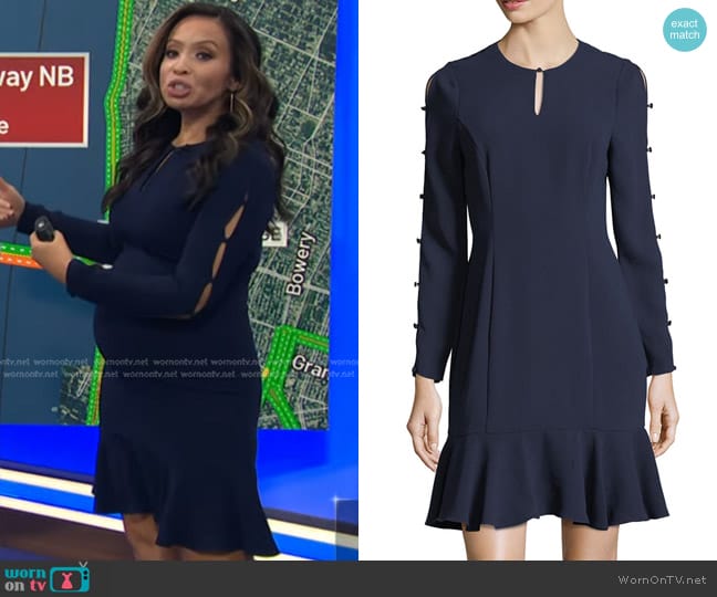 Shoshanna Wyvis Long-Sleeve Flounce-Hem Dress worn by Adelle Caballero on Today