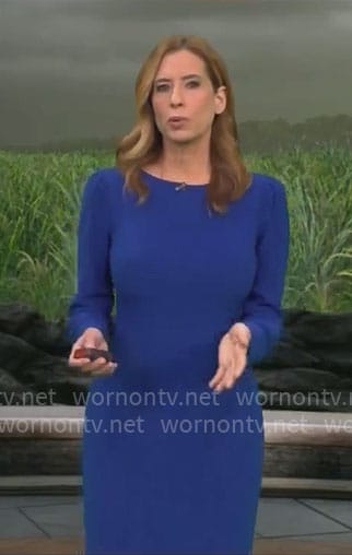 Stephanie Abrams' blue long sleeved dress on CBS Mornings