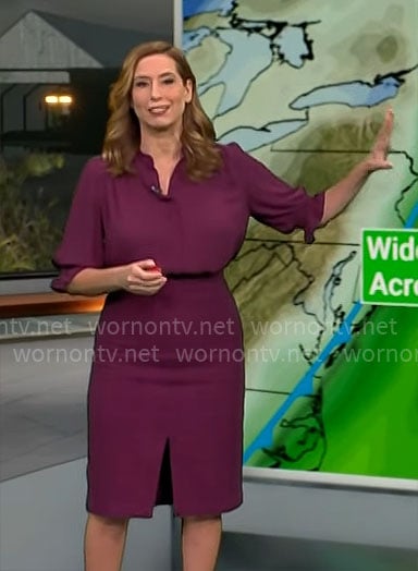 Stephanie Abrams' purple blouse and tweed pencil skirt on CBS Mornings