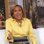 Robin’s striped skirt on Good Morning America