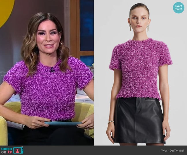 Scanlan Theodore Ribbon Knit Mauve Top worn by Rebecca Jarvis on Good Morning America